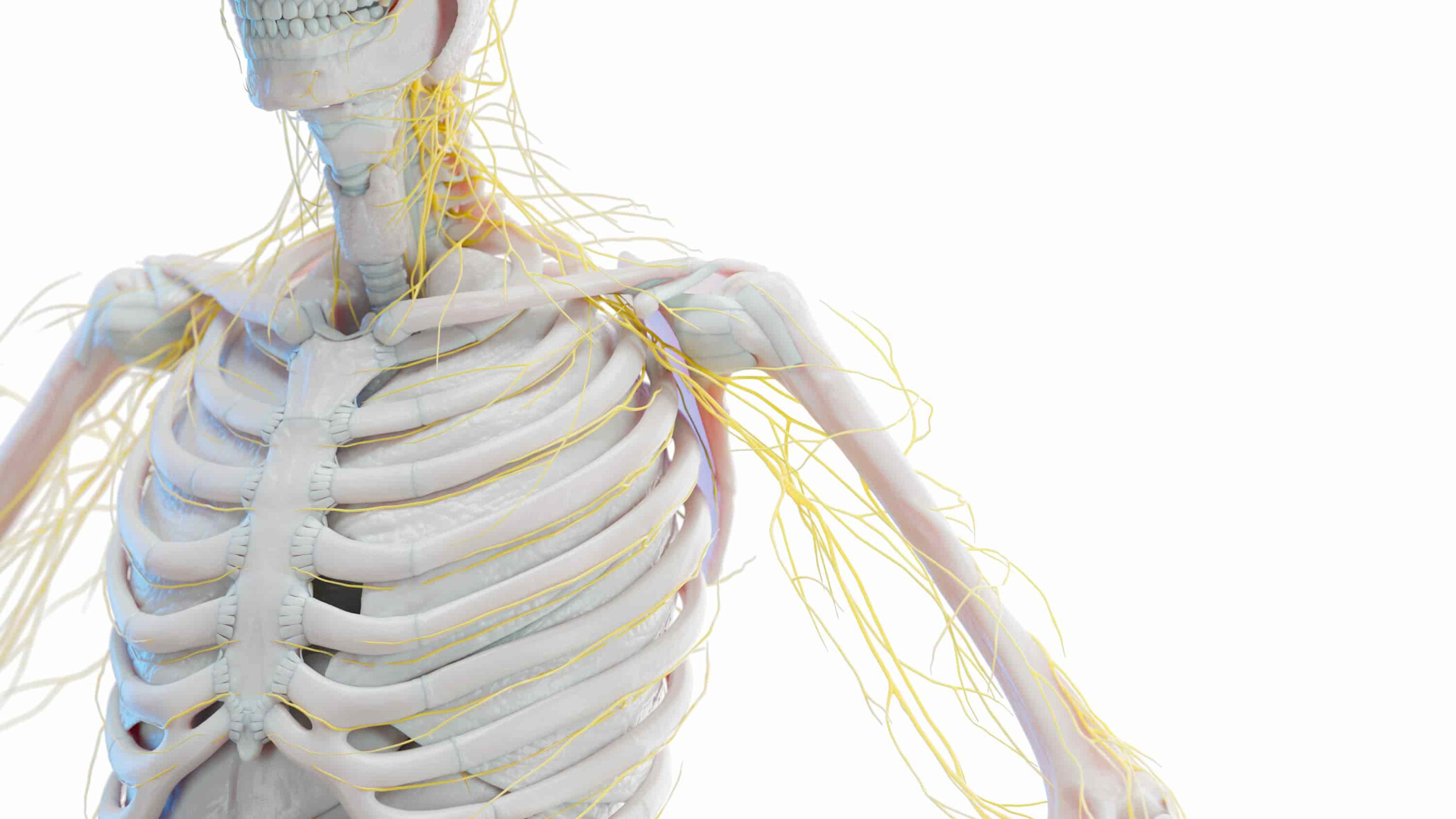 Chirurgie du nerf périphérique en Turquie Neurochirurgie en Turquie