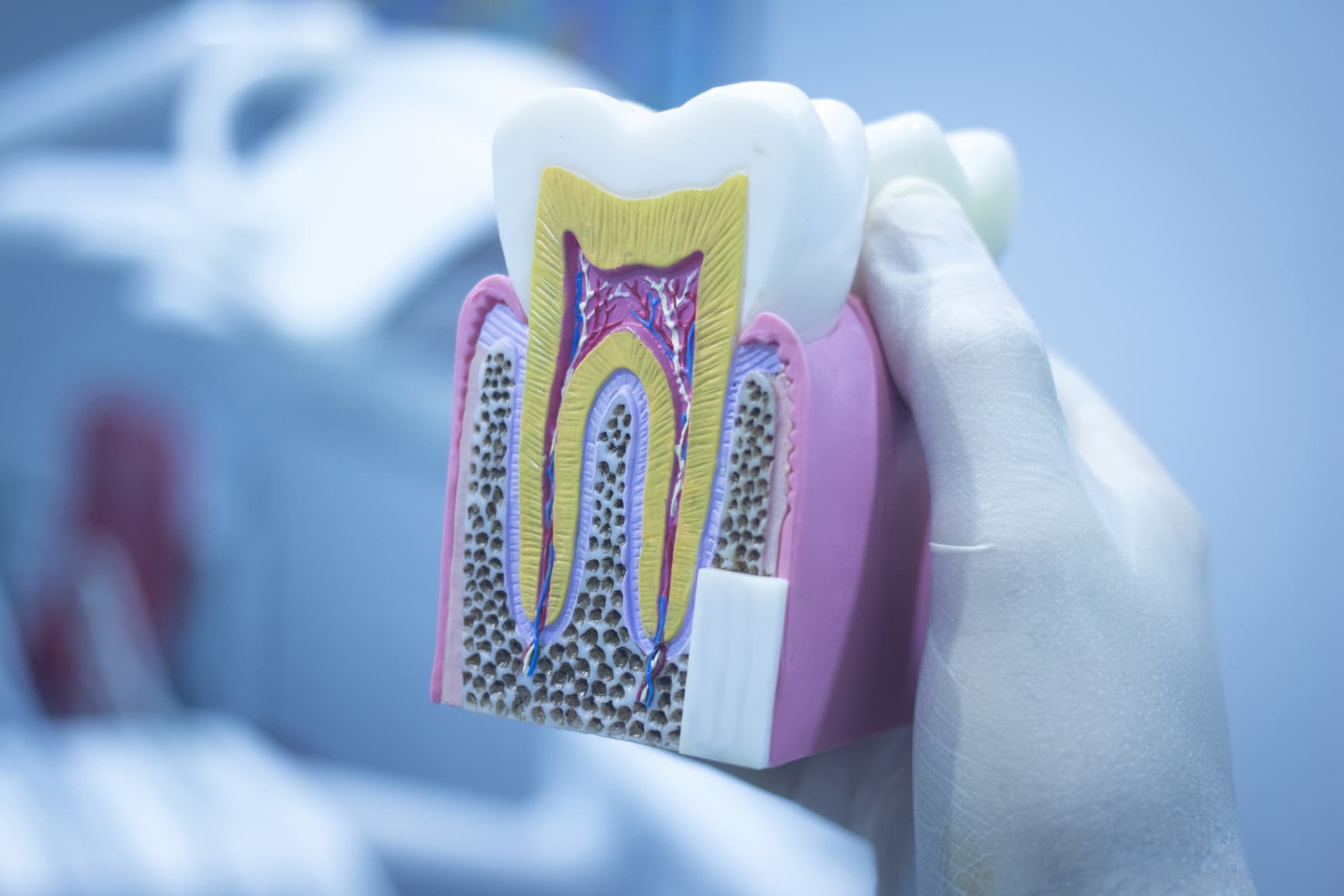 Turkiye tooth enamel repair