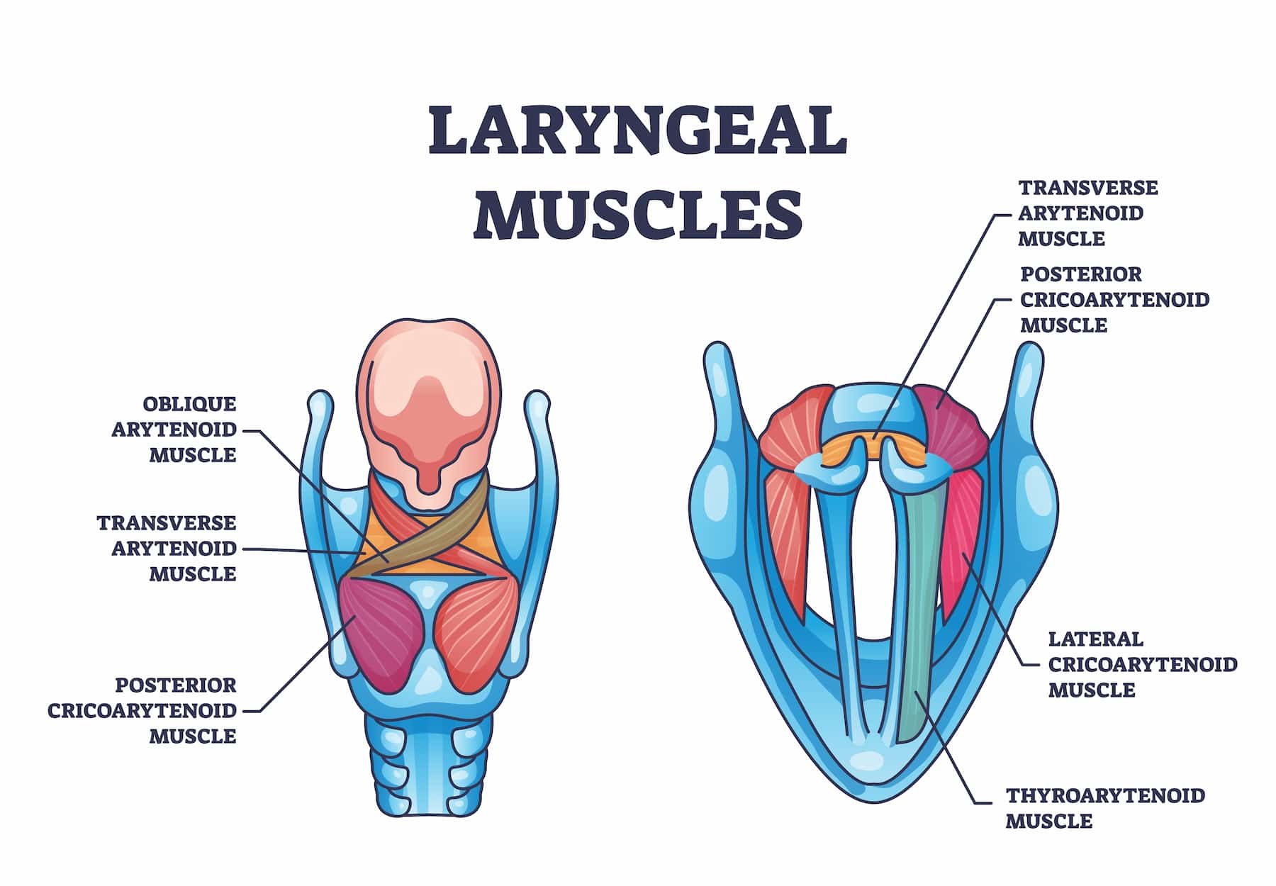 Laryngology treatment turkiye