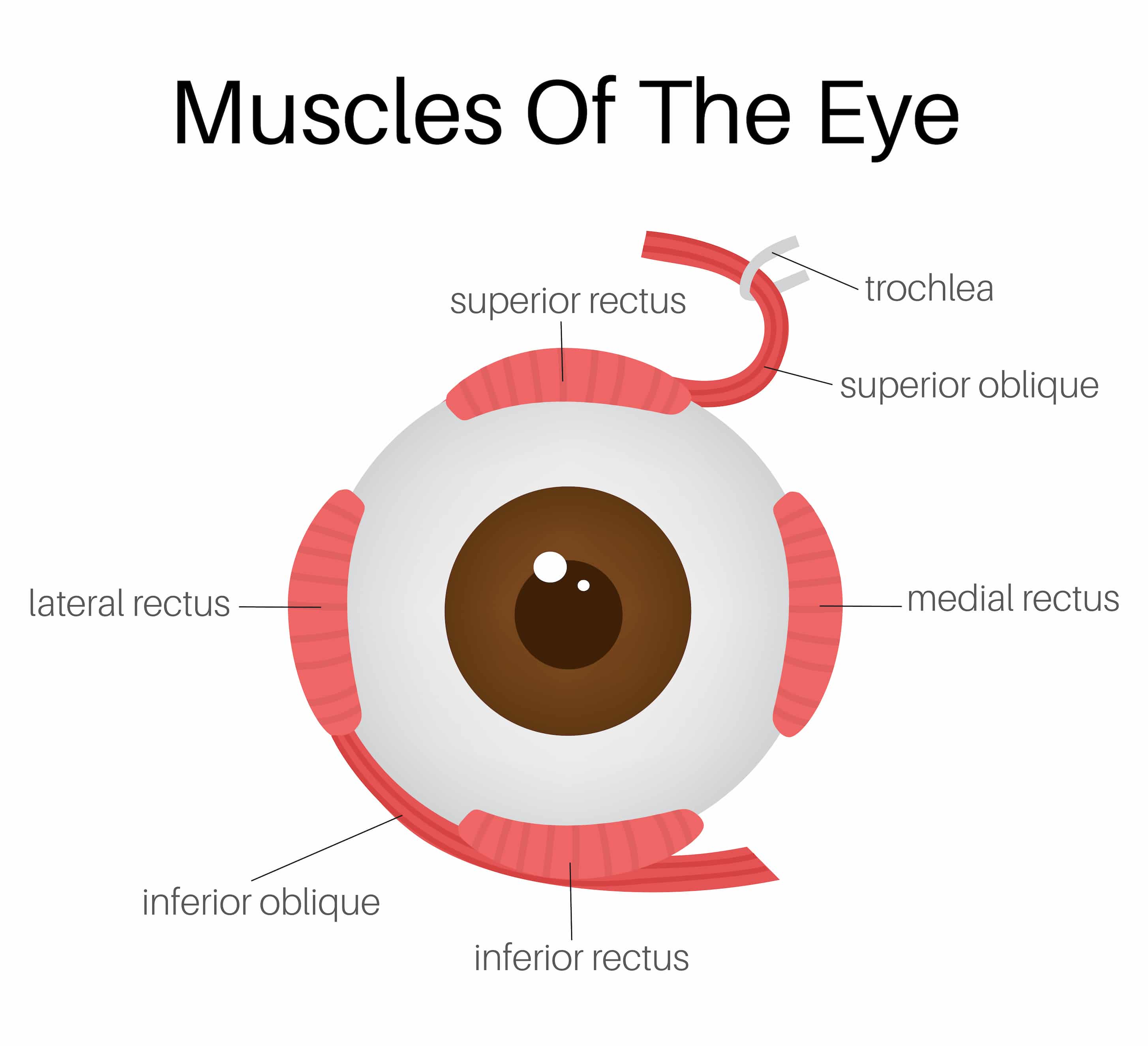 Eye muscle surgery turkiye