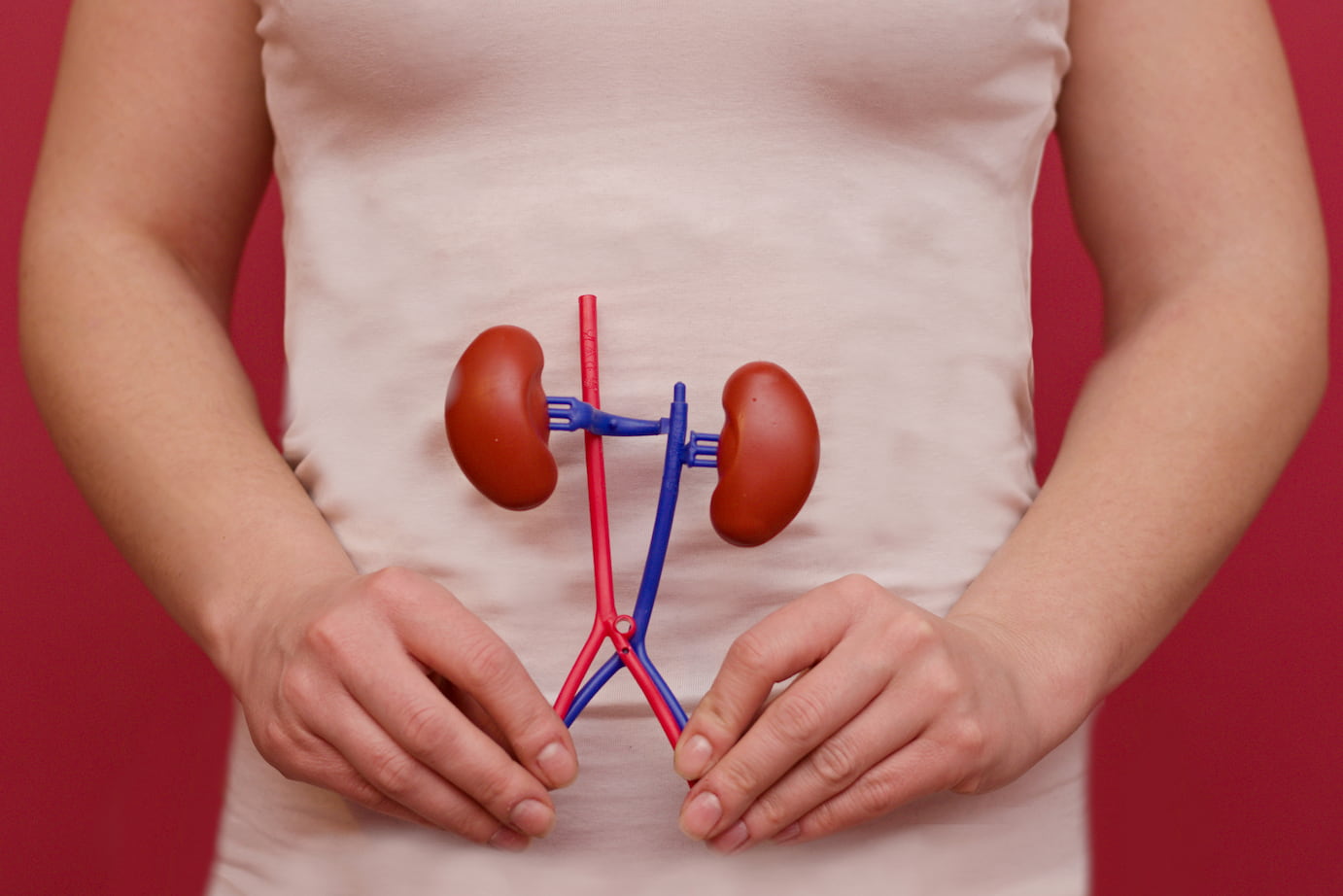 Turkiye treatment of vascular diseases of kidneys procedure