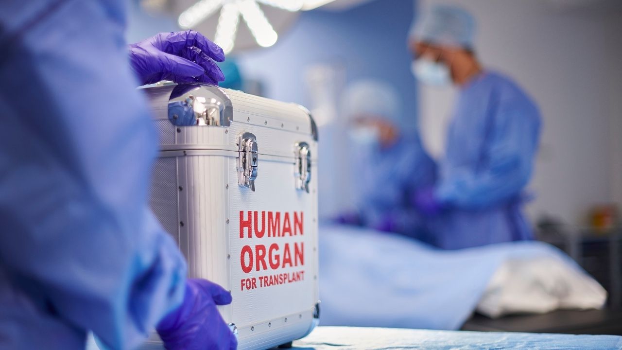 Türkiye organ transplantation