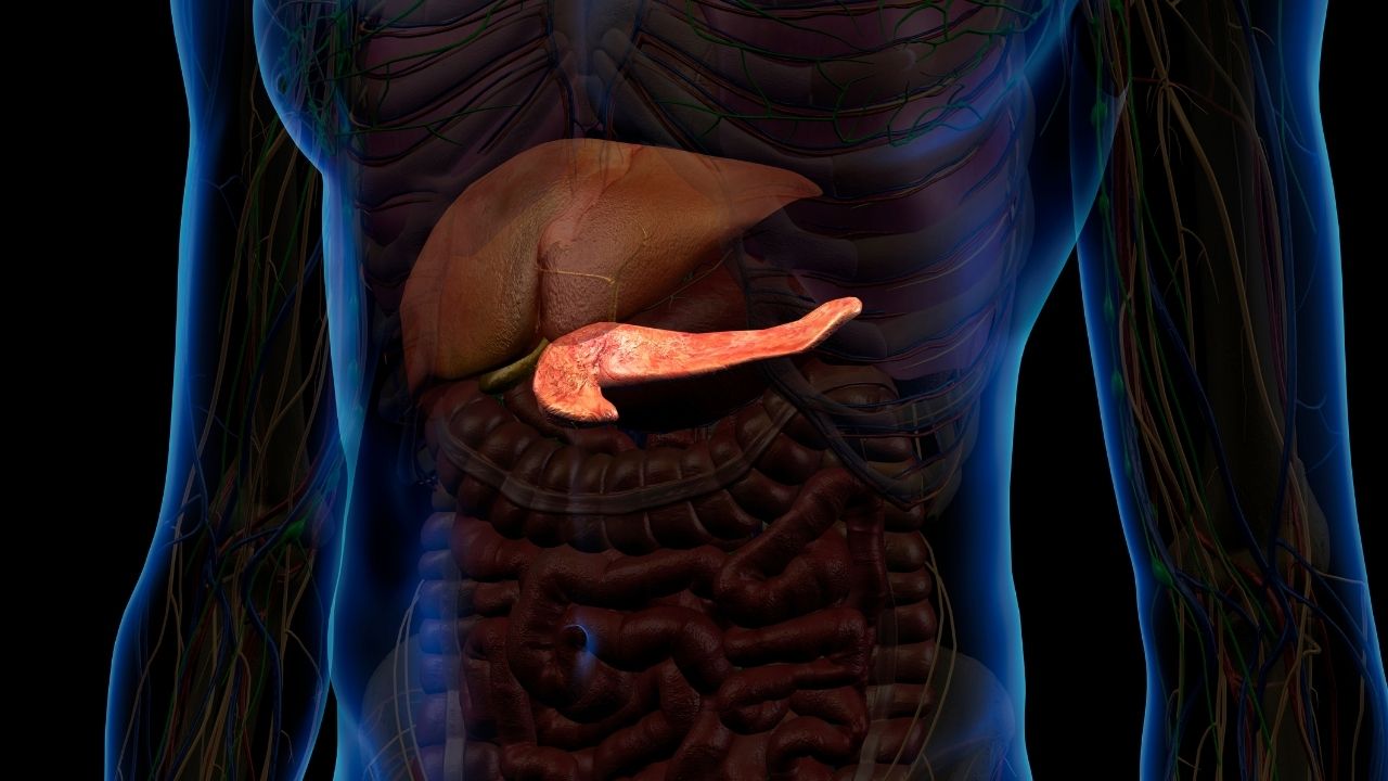 Pancreas transplantation turkey