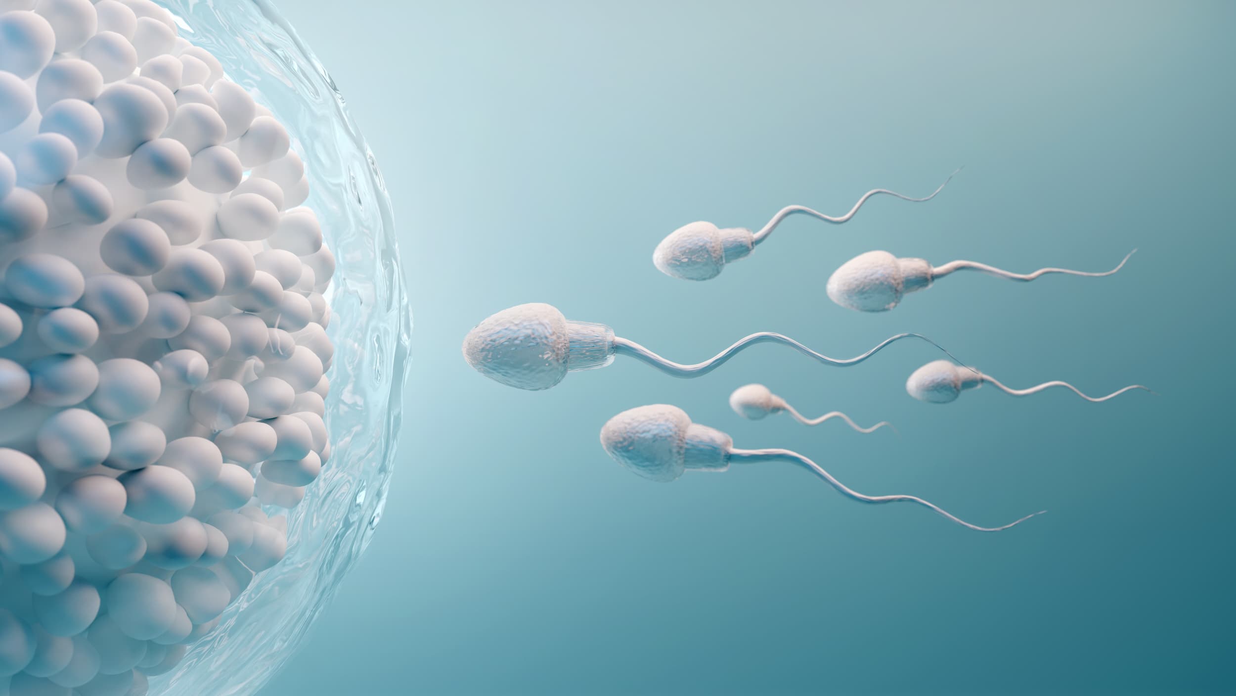 Low sperm count treatment turkiye