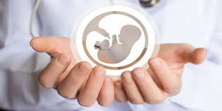 cost of ivf treatment in turkey