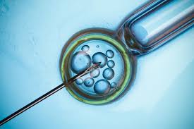 IVF Treatment Results in Turkey