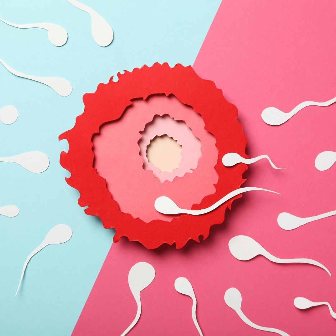 Fertility Treatment Results in Turkey
