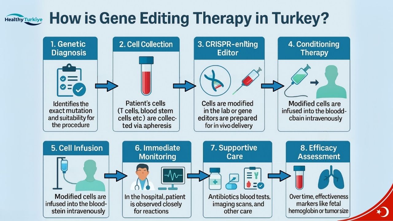 CRISPR Geneditierungstherapie Türkei CRISPR Geneditierungstherapie Türkei
