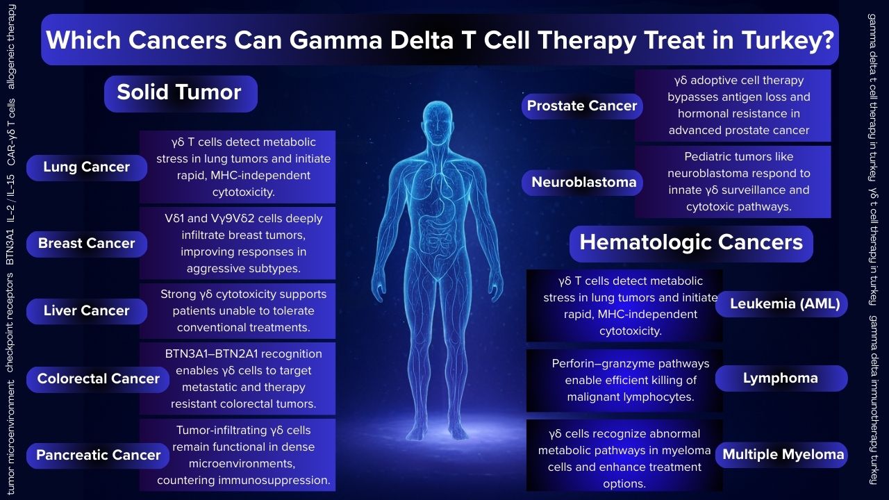 Tratamentul cu celule T gamma delta împotriva cancerului în Turcia Tratamentul cu celule T gamma delta împotriva cancerului în Turcia