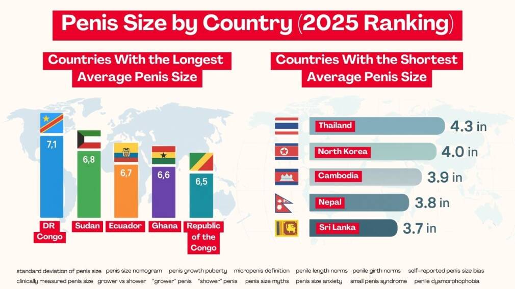 Penislengte Tabel 2026 Kleine Gemiddelde Grote Lengtes Penislengte Tabel 2026 Kleine Gemiddelde Grote Lengtes